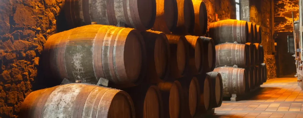 Bodega de barriles de vino